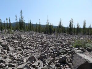 IMG_8565